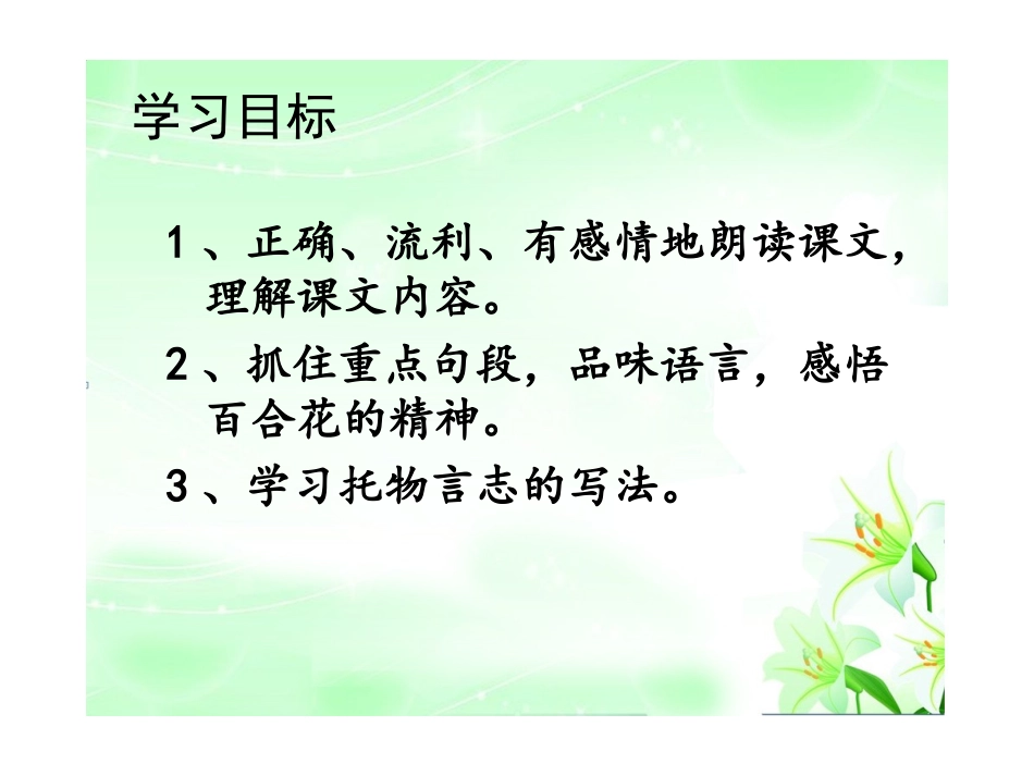 心田上的百合花_第2页