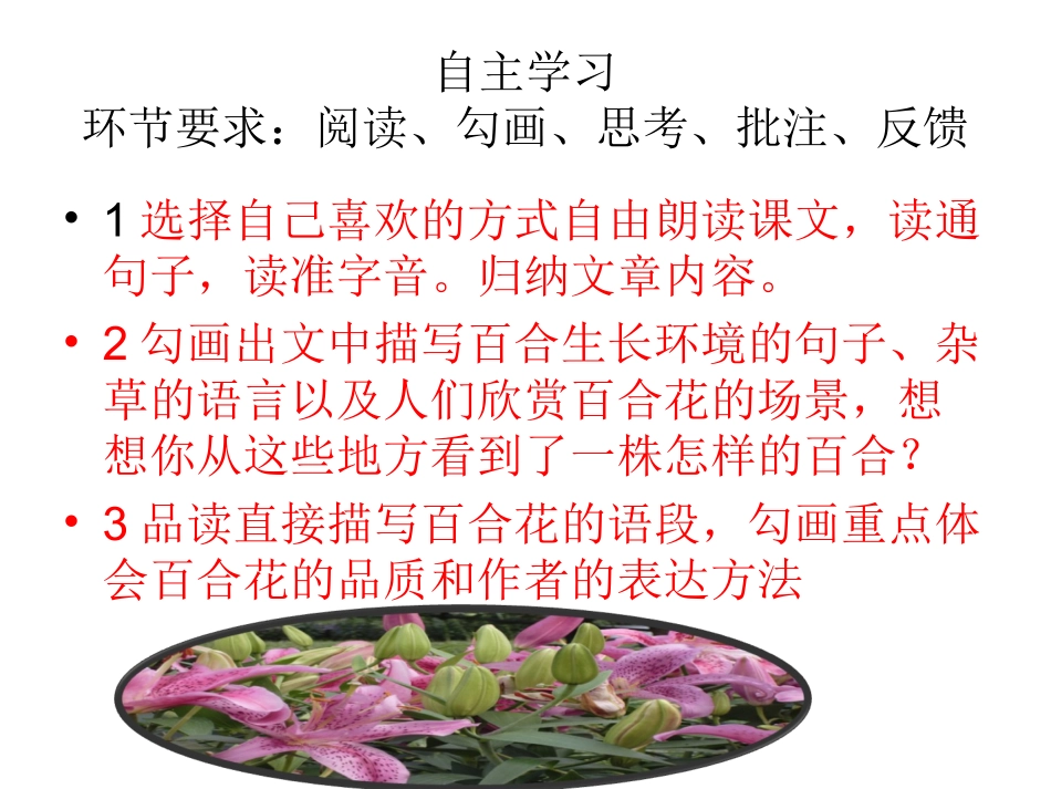 心田上的百合花_第3页