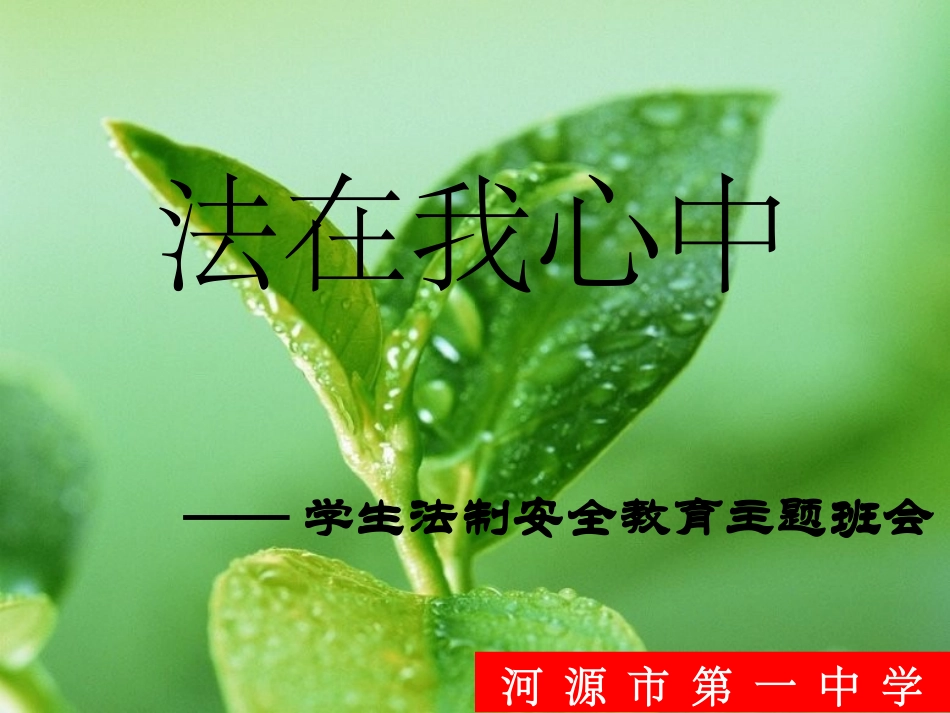 法制教育安全主题班会课件_第1页