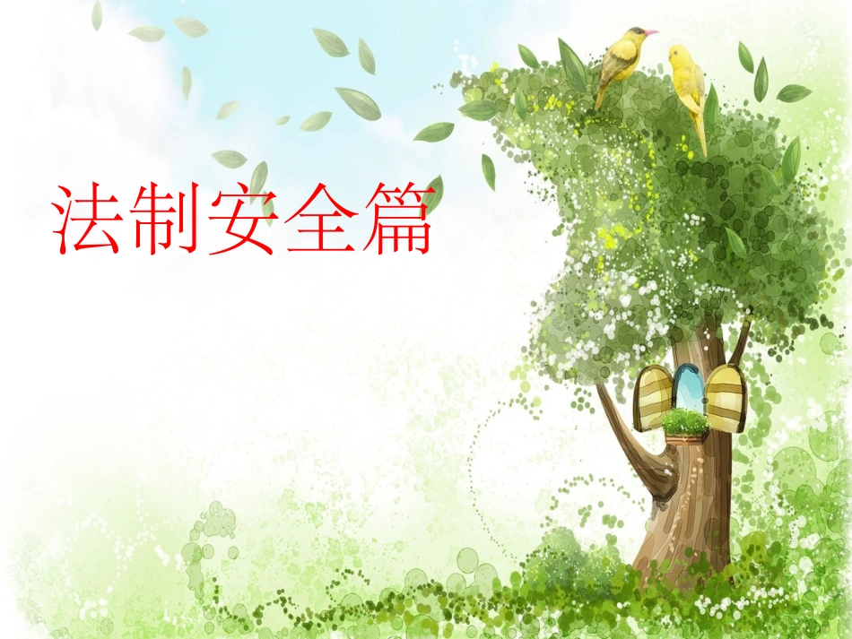 法制教育安全主题班会课件_第2页