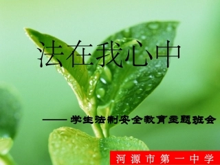 法制教育安全主题班会课件