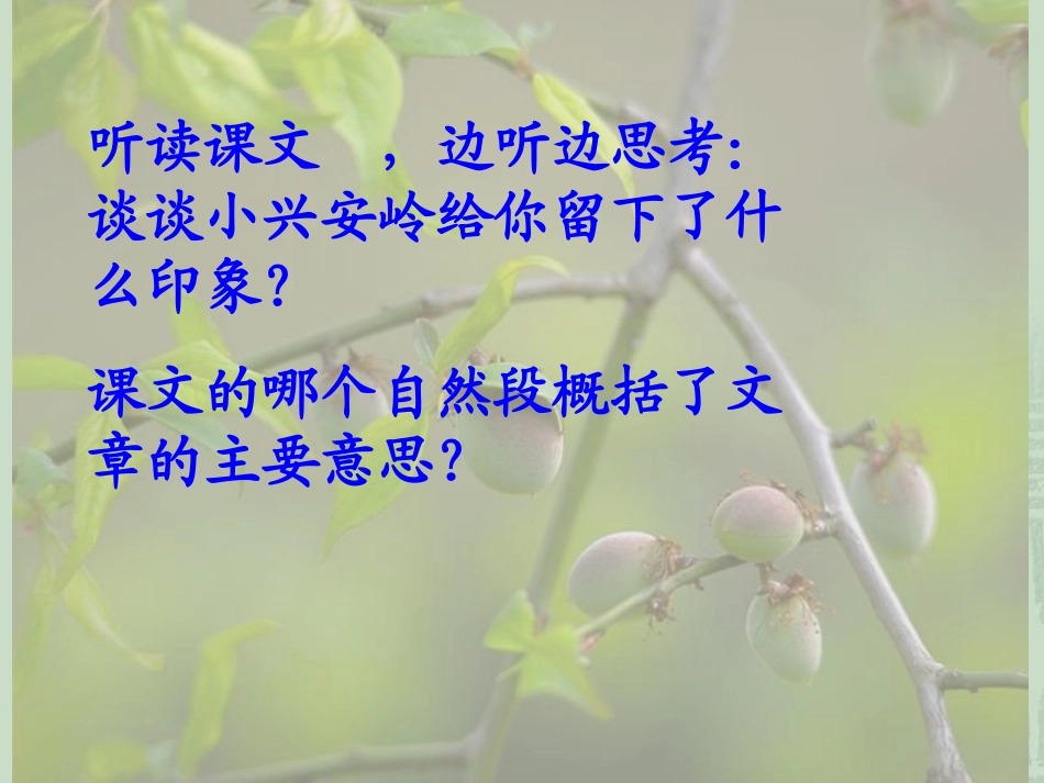 三年级上册语文23课美丽的小兴安岭_第2页