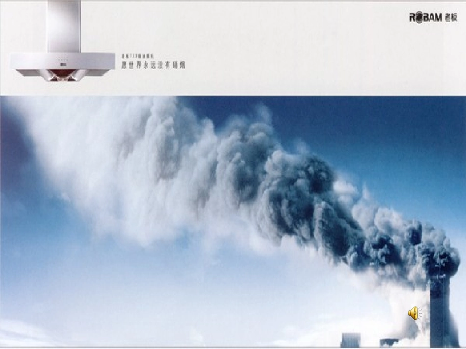 鸟儿的侦查报告_第2页