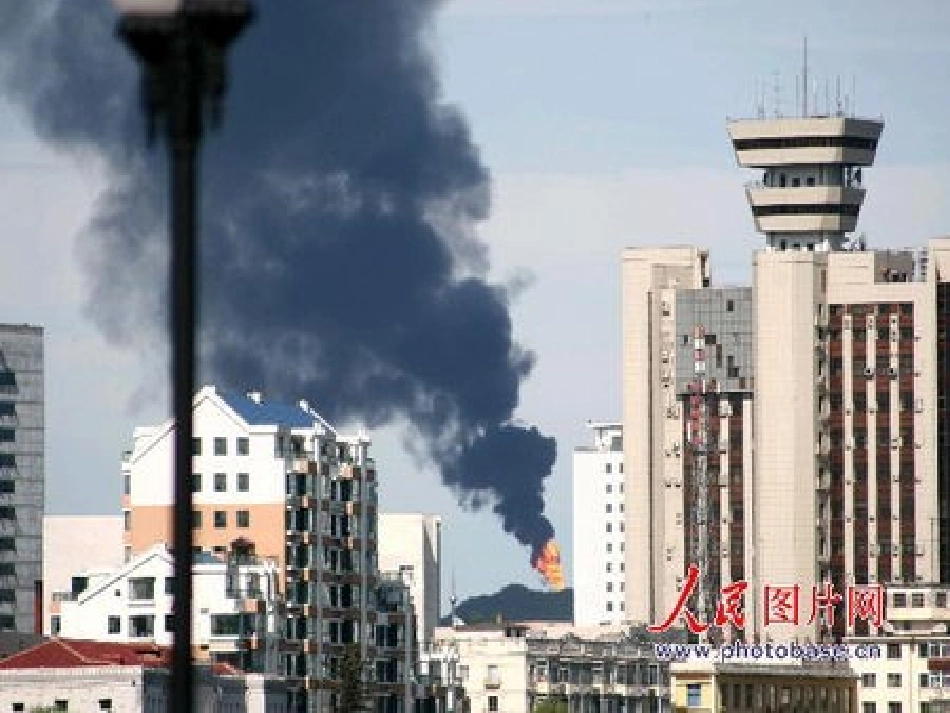 鸟儿的侦查报告_第3页