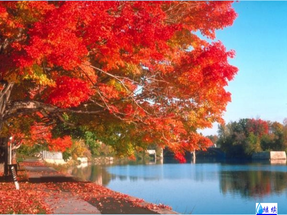 《秋天的雨》_第3页