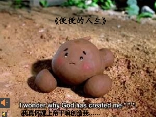一坨便便的人生1