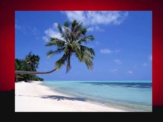 第一课_人类的朋友