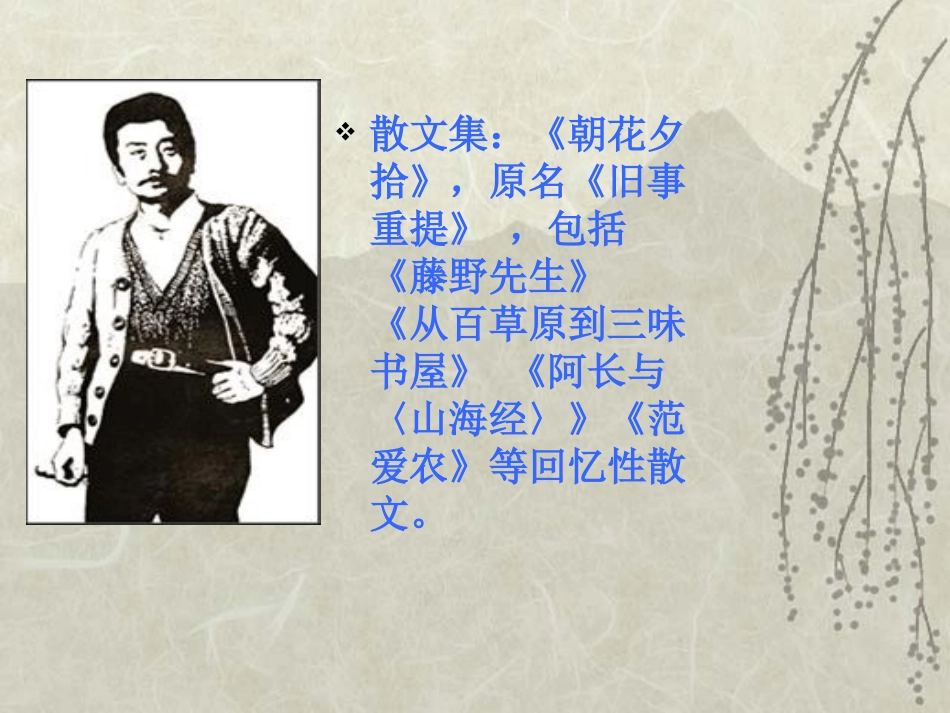 6阿长与《山海经》-八年级上册语文课件_第3页