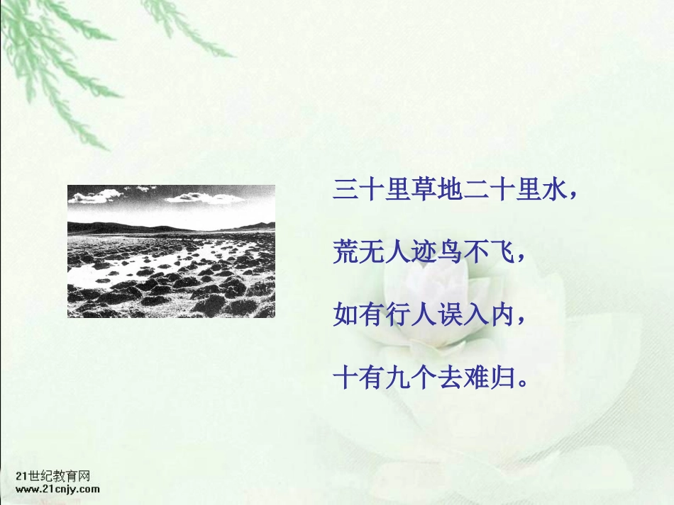 （苏教版）五年级语文下册课件彭德怀和他的大黑骡子1第二课时_第2页