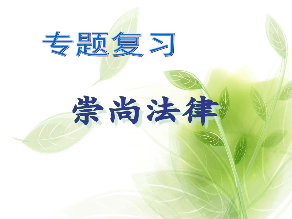 法律专题复习_第1页