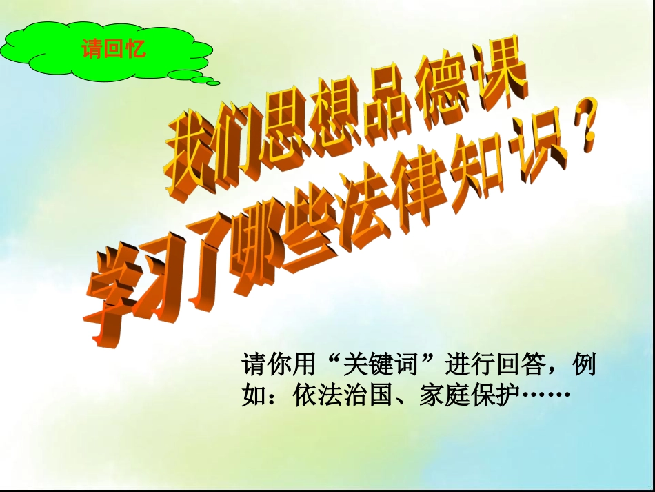 法律专题复习_第2页