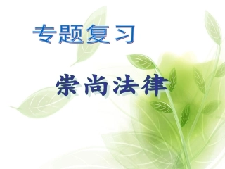 法律专题复习