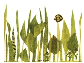 一寸虫大班数学课件