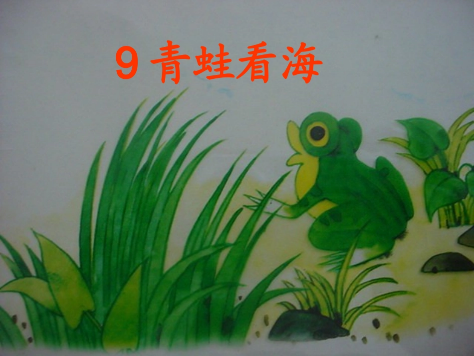 青蛙看海课件_第2页