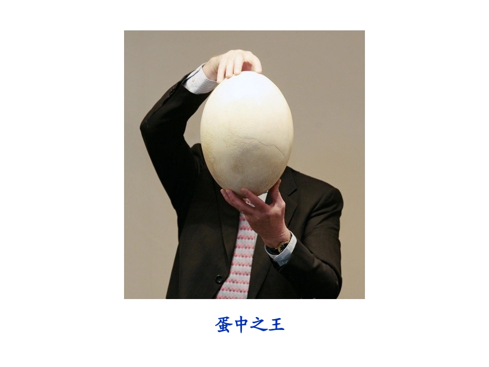 一班一组付和宇《长方体和正方体的体积》_第2页