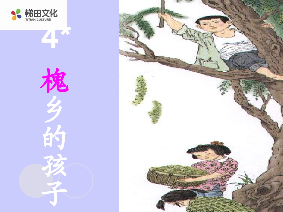 4槐乡的孩子课件2_第1页