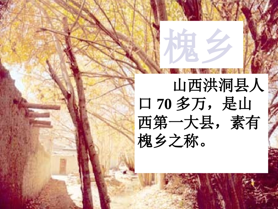 4槐乡的孩子课件2_第3页