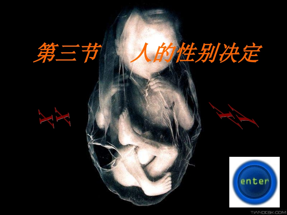 人类性别决定_第1页