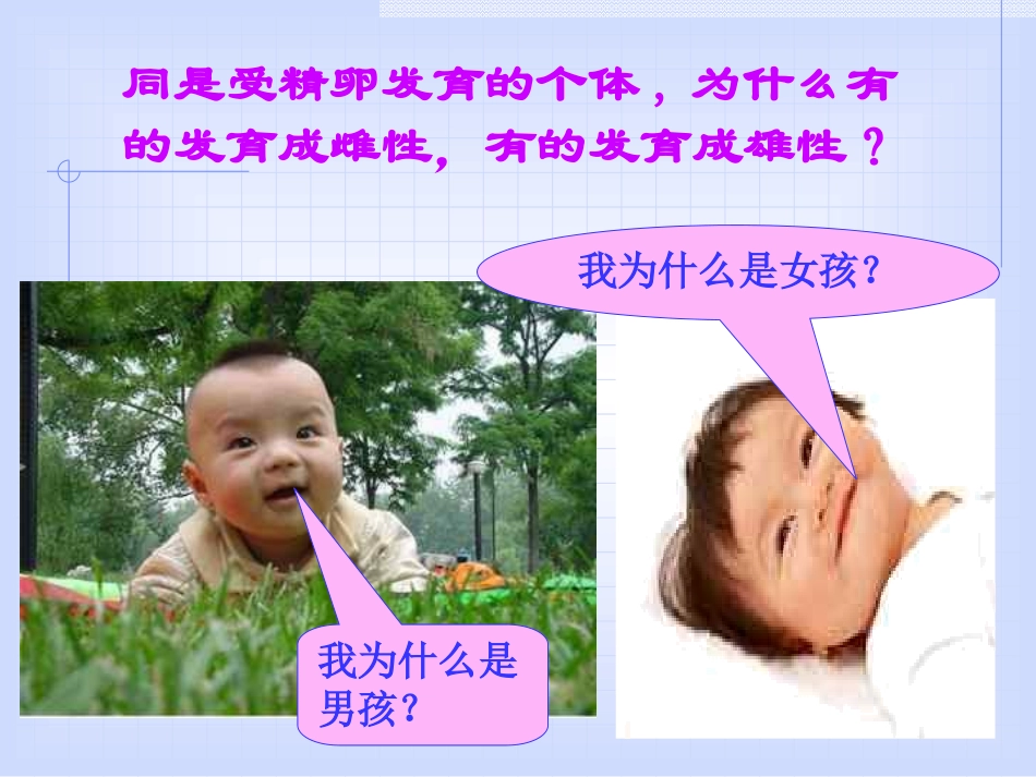 人类性别决定_第3页