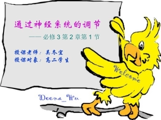 通过神经系统的调节