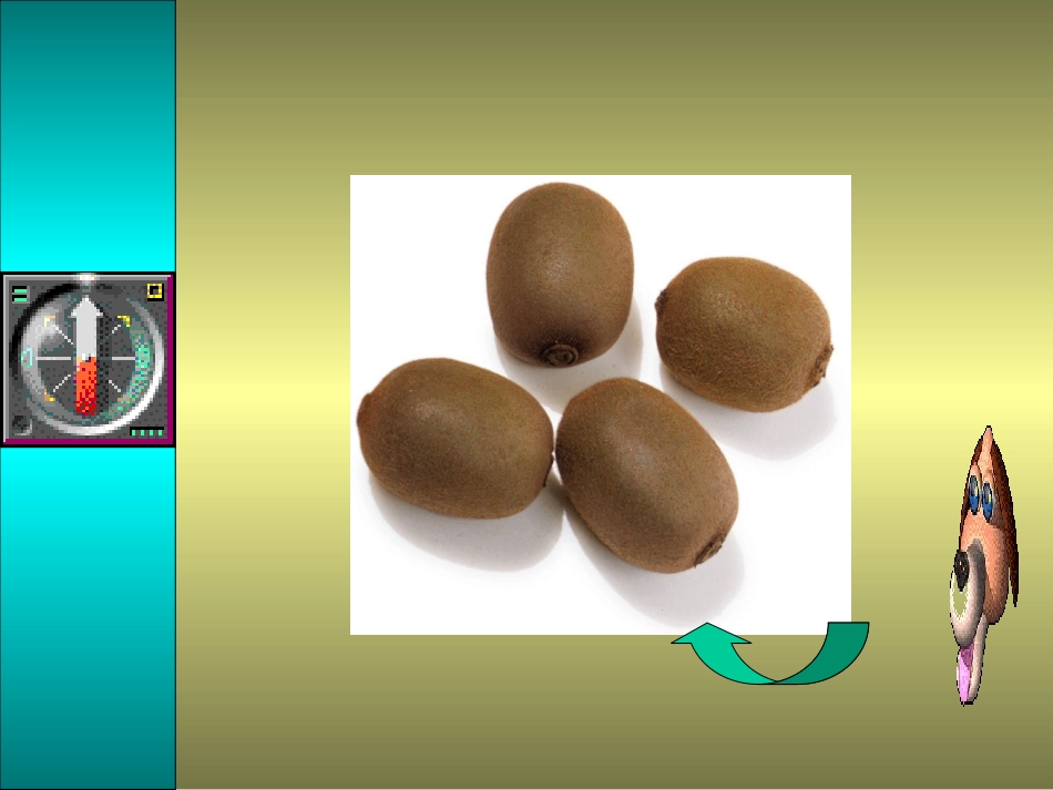 1《分数的再认识》课件_第3页