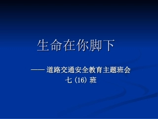 交通安全主题班会