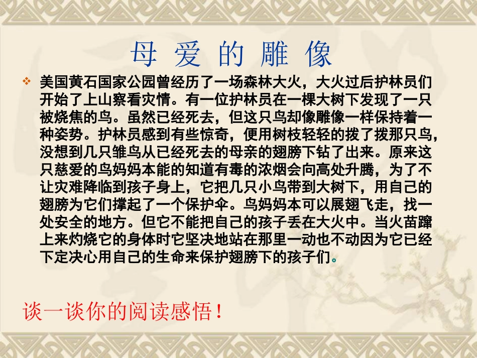 亲子之间课件_第3页
