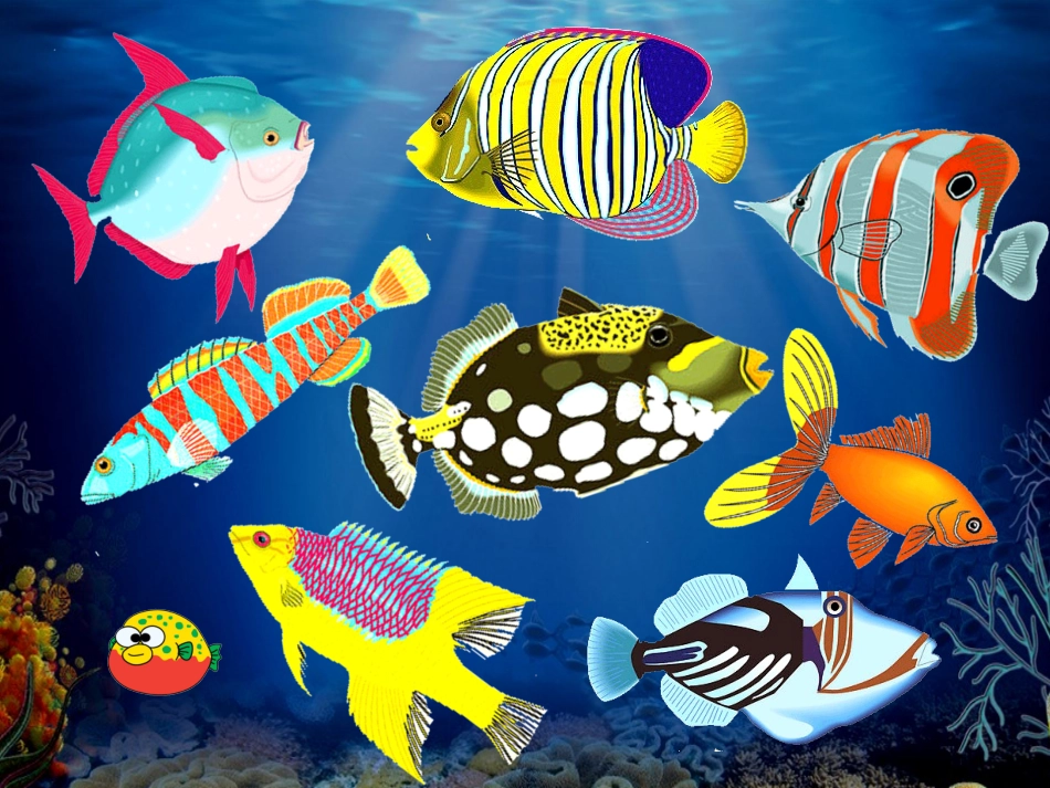 谁画的鱼最大 (4)_第3页