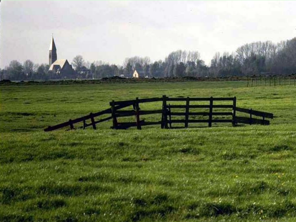 人教版四年级语文下册第六组22课《牧场之国》PPT课件_第3页