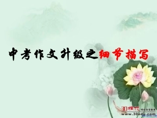 中考作文快速升格：细节描写课件