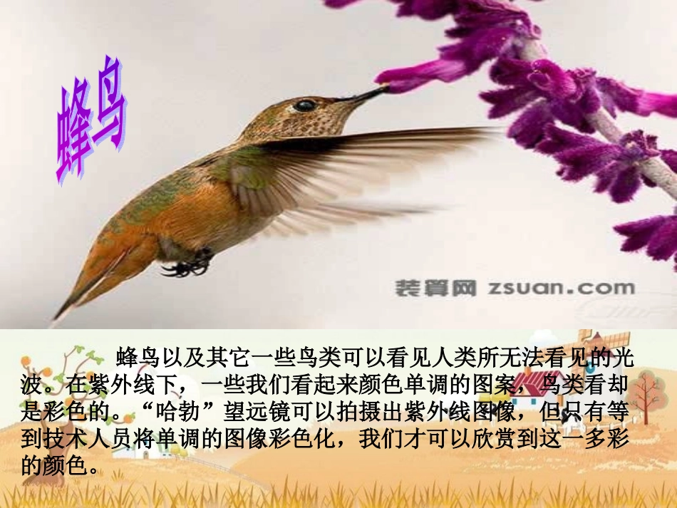 第15课探索人生的真谛_第2页