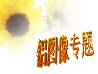 铝的图象专题复习