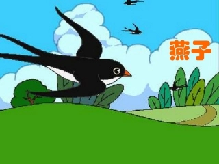 燕子第一课时