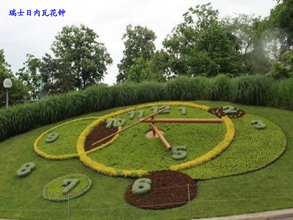 花钟第二课时_第3页