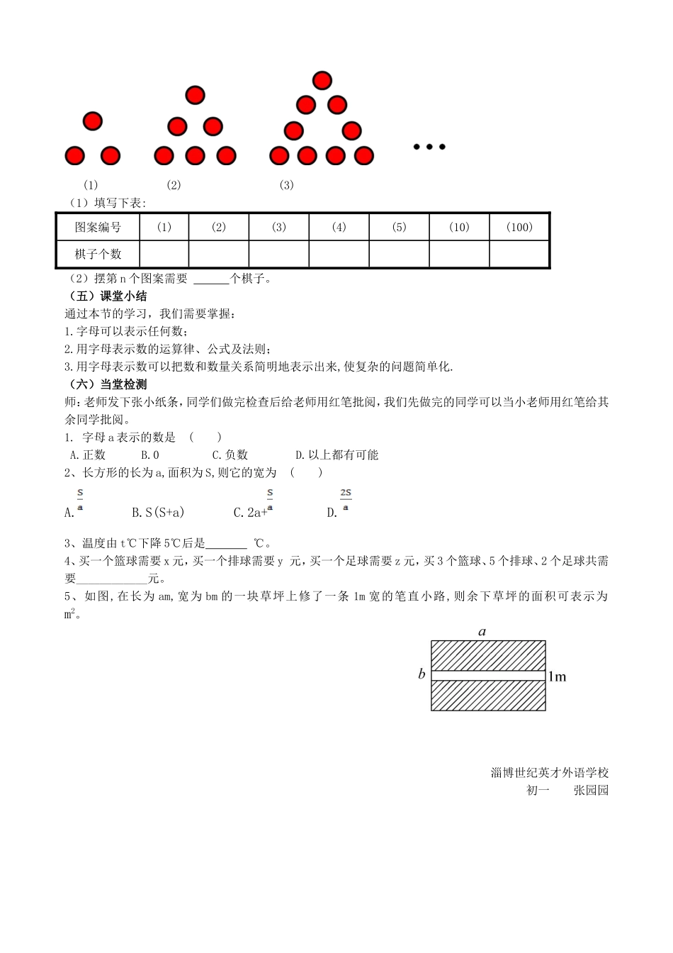 用字母表示数优质课教学设计_第3页