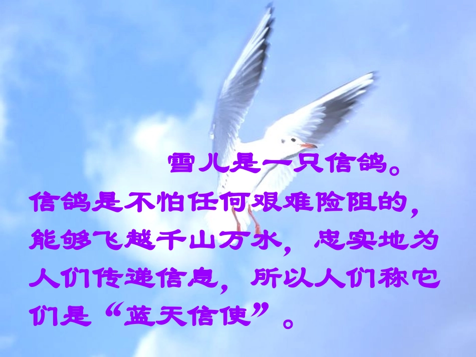 语文苏教版3年下5《雪儿》课件_第2页