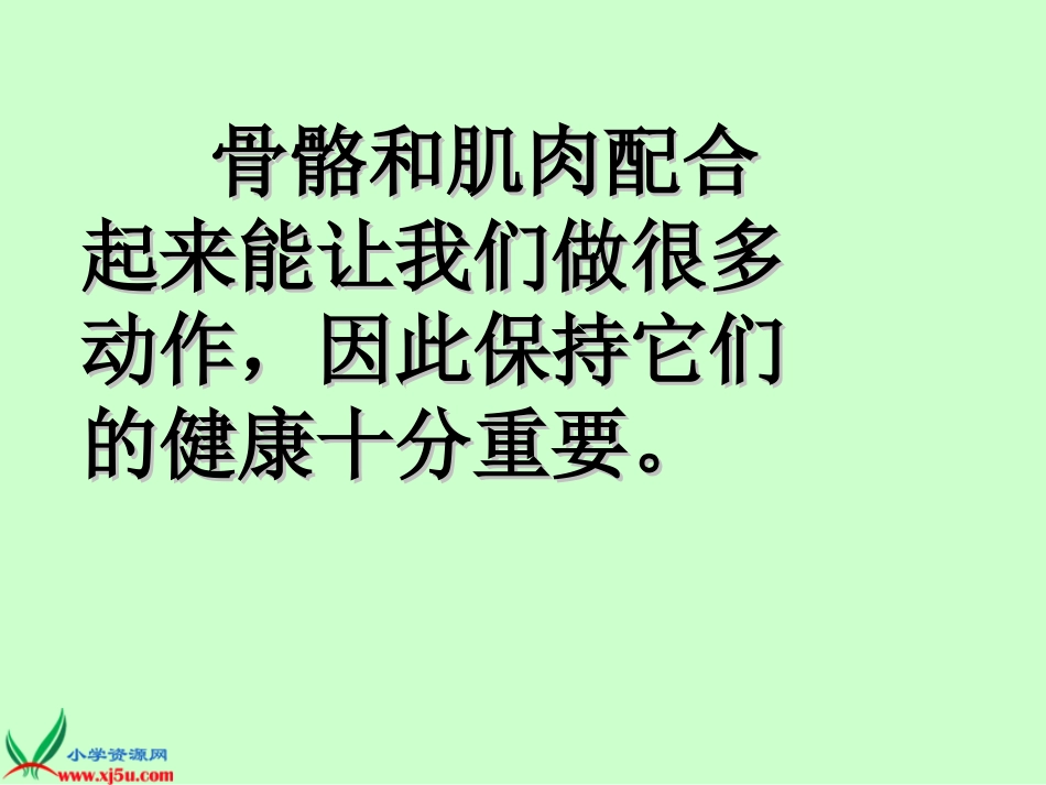 骨骼、肌肉的保健__课件1_第2页