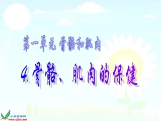 骨骼、肌肉的保健__课件1