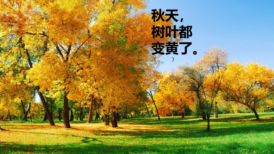 秋天的图画 (2)_第3页