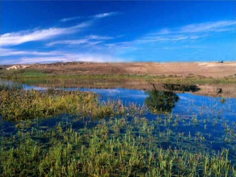 6可爱的草塘_第2页