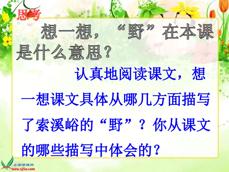 索溪峪的野 (2)_第2页