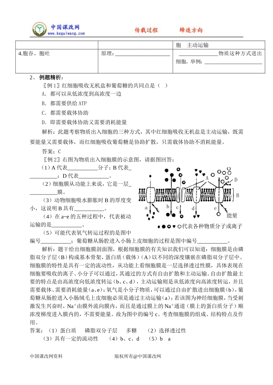 必修1第4章第3节物质跨膜运输的方式_第2页