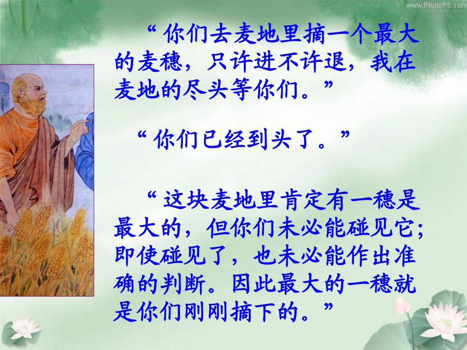 最大的麦穗PPT_第3页