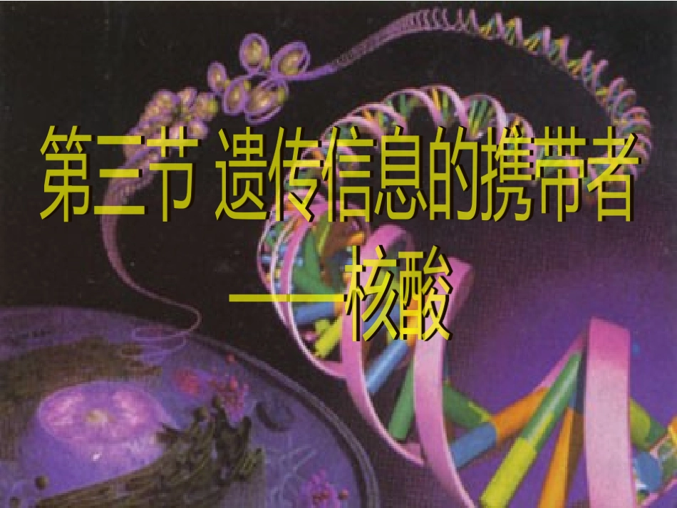23遗传信息的携带者——核酸_第1页