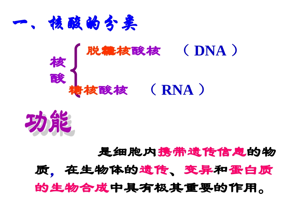 23遗传信息的携带者——核酸_第2页