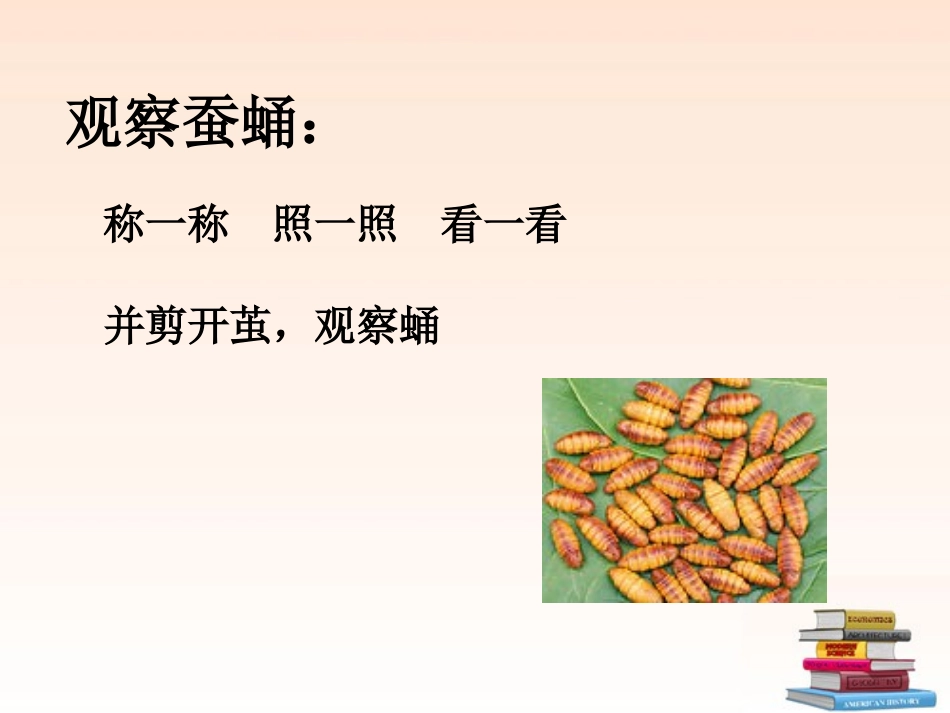 三年级科学下册_蛹变成了什么_第2页
