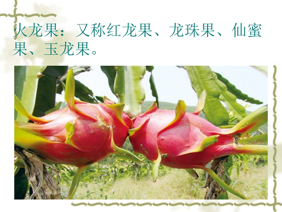 写一则观察日记_第3页