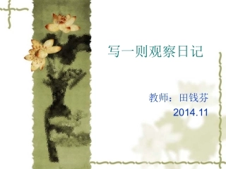 写一则观察日记