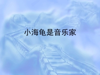 小海龟是音乐家