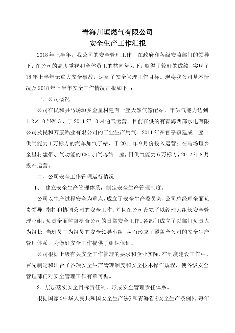 2018公司安全生产工作汇报材料_第1页